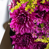 باقة عقدة الليل المزهرة