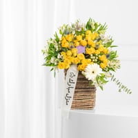 سلة ضياء الواحة