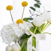 مزهرية لؤلؤة روزيتا المعلقة