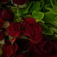 فازة الجوري الأنيقة مع بيتي فور مشكل من باب شرقي