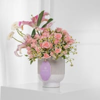 فازة سكر بنات