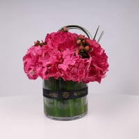 الفازة الزاهية