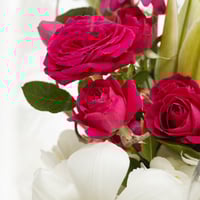 بوكس كرة السحر الأبيض