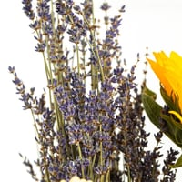 سلة دفئ الطبيعة