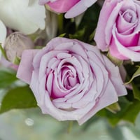 مزهرية انفاس الفجر الاولى