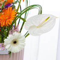 مزهرية تحفة السيراميك الملكية