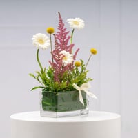 مزهرية الحديقة الصغيرة