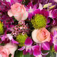 فازة روزيتا