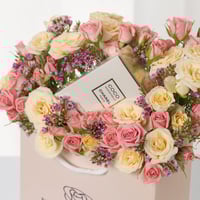 حقيبة الندى الصغيرة