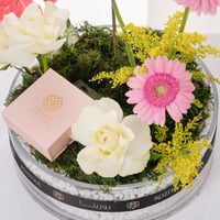 فازة حديقة الاحلام الشفافة