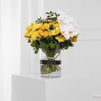 فازة ميلودي الكرز