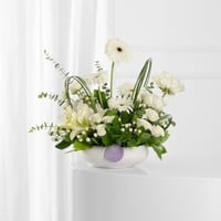 فازة السلام