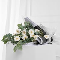 باقة ندى الغابة الساحر