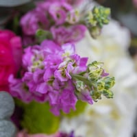 باقة حديقة الاميرة المنسية