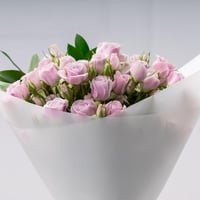 البهجة البنفسجية