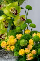 فازة الغابة الذهبية