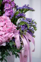 فازة صوت الفراشة