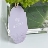 فازة نسيم الفردوس