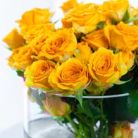 مزهرية سحر القمر الاصفر