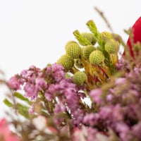 باقة الميلاد