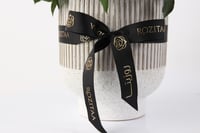 فازة سيراميك بيبي روز