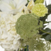 فازة يومنا المجيد