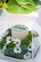 بوكس الكيك الملكي