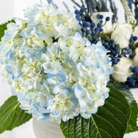 فازة نسمة الدرعية