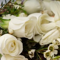 بيتي فور مشكل من باب شرقي مع أزهار بيضاء