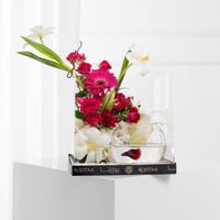 بوكس كرة السحر الأبيض