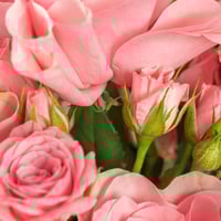 باقة كوتن كاندي