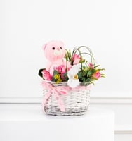 سلة مولودتنا الجديدة