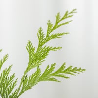 سلة الطفل الصغير