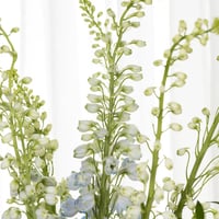 فازة تحفة الروسكوس الإيطالي