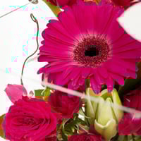 بوكس كرة السحر الأبيض