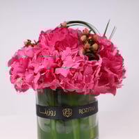 الفازة الزاهية