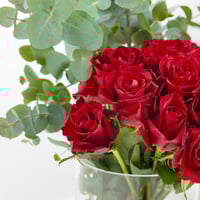 فازة نار بريئة