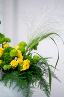 فازة الغابة الذهبية