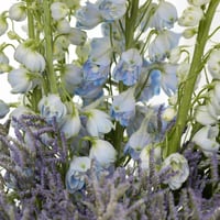 فازة تحفة الروسكوس الإيطالي