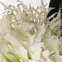 مسكة عروس قمرة كالا