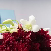 شوكولاتة دولسي كريب من فيلان مع ازهار الاقحوان