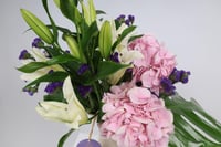 فازة الجمال النادر