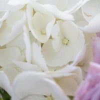 مزهرية انفاس الفجر الاولى