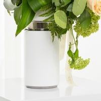 فازة لمسة فراشة ذهبية