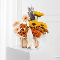 سلة دفئ الطبيعة