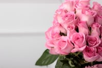 فازة روز بينك