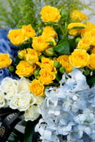 فازة سكون البحر