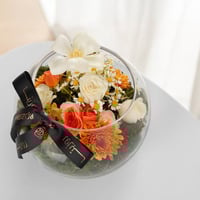 فازة روزيتا 2