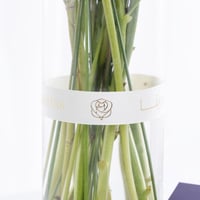 فازة سكر ابيض