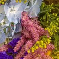 باقة سحر الالوان في حضن الغيوم